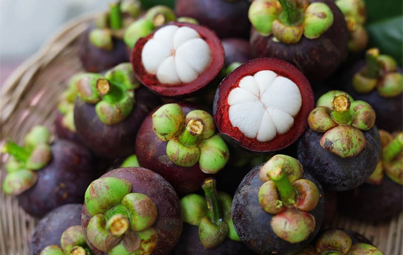 images/1670226795927mangosteen sorter.jpg